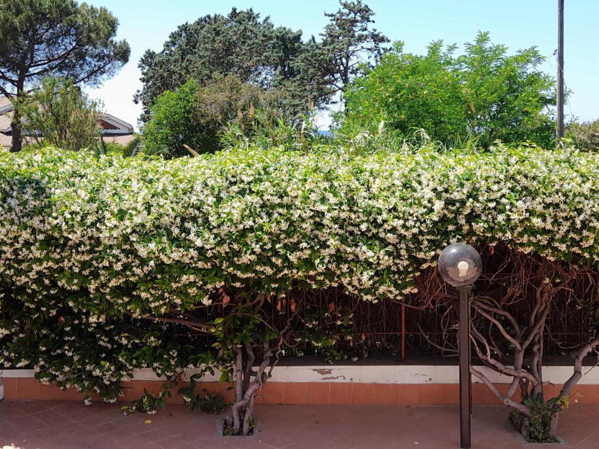Guest House Al Mare Civitavecchia Ngoại thất bức ảnh